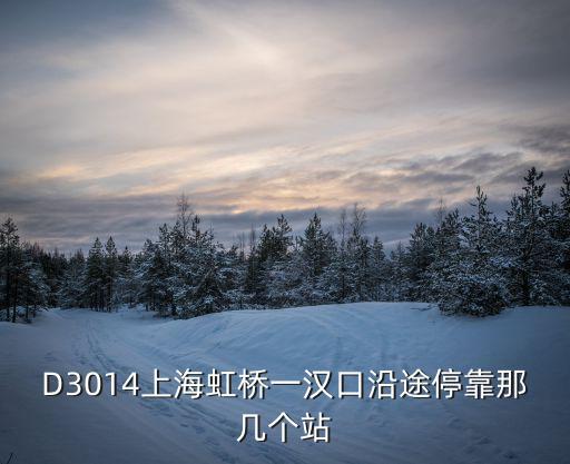 D3014上海虹橋一漢口沿途停靠那幾個站