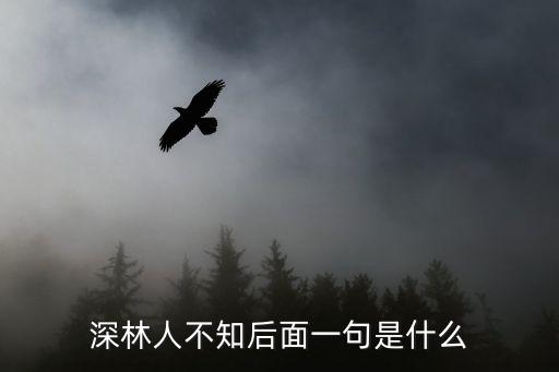 我在唐朝有套房，此句詩(shī)中體現(xiàn)了哪些物理知識(shí)