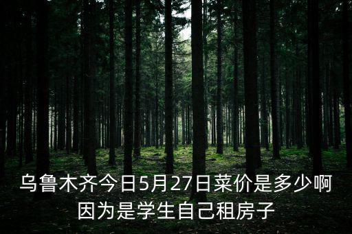 烏魯木齊今日5月27日菜價是多少啊因為是學生自己租房子