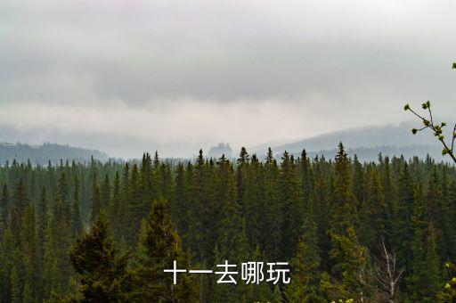 十一去哪玩