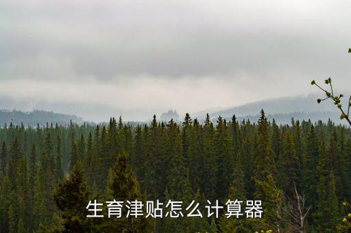 生育津貼怎么計算器