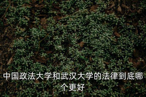 武漢政法大學(xué)，武漢政法大學(xué)招不招網(wǎng)屆生