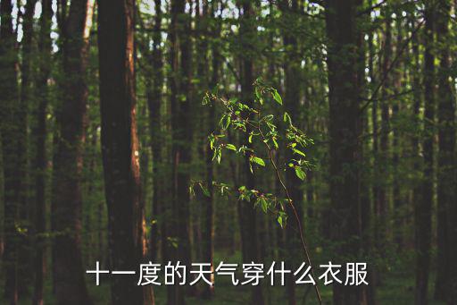 天氣穿衣，現在的天氣變化很大該怎樣穿衣呢