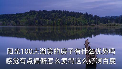 陽光100大湖第的房子有什么優(yōu)勢嗎感覺有點(diǎn)偏僻怎么賣得這么好啊百度
