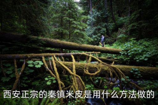 西安正宗的秦鎮(zhèn)米皮是用什么方法做的