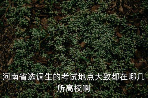 河南省選調生的考試地點大致都在哪幾所高校啊