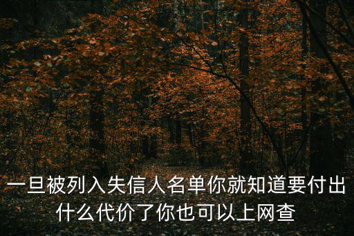 一旦被列入失信人名單你就知道要付出什么代價了你也可以上網查