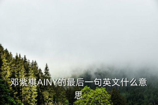 鄧紫棋AINY的最后一句英文什么意思