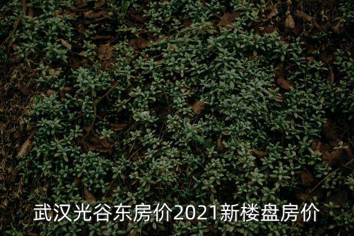武漢光谷東房價2021新樓盤房價