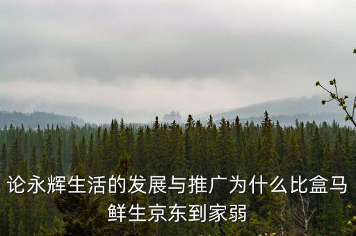 論永輝生活的發展與推廣為什么比盒馬鮮生京東到家弱