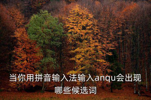 anqu，anqu68怎么不能上了