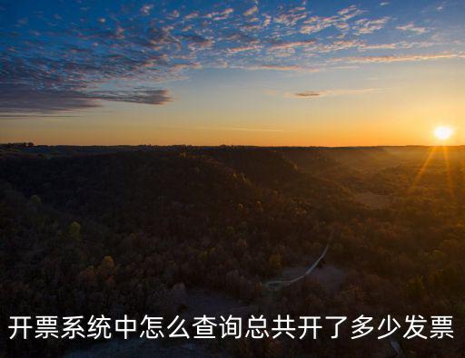 開票系統中怎么查詢總共開了多少發票
