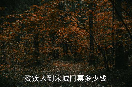 殘疾人到宋城門票多少錢
