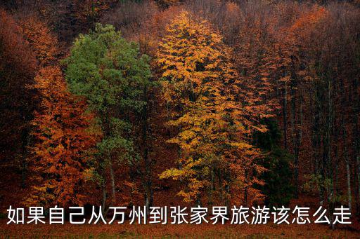 觀光小火車報價，如果自己從萬州到張家界旅游該怎么走