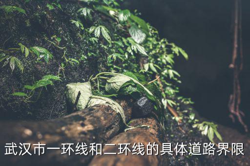 武漢市一環線和二環線的具體道路界限