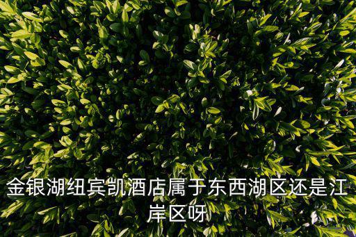 金銀湖，金銀湖紐賓凱酒店屬于東西湖區還是江岸區呀