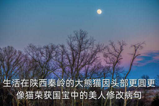 生活在陜西秦嶺的大熊貓因頭部更圓更像貓榮獲國寶中的美人修改病句