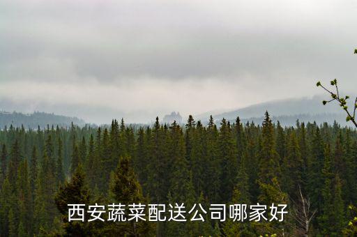 西安蔬菜配送公司哪家好