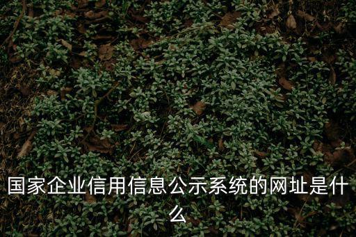 國家企業(yè)信用信息公示系統(tǒng)的網(wǎng)址是什么