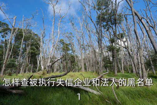 失信黑名單查詢，怎樣查被執行失信企業和法人的黑名單1