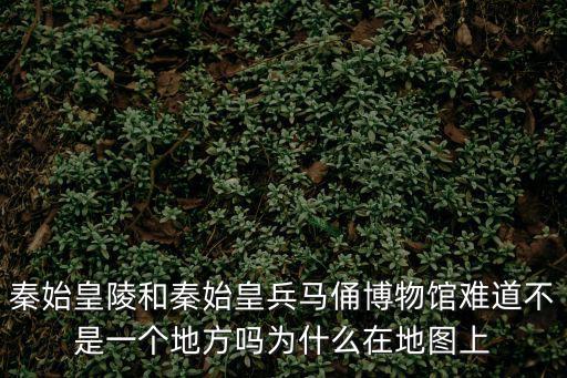 秦始皇陵和秦始皇兵馬俑博物館難道不是一個(gè)地方嗎為什么在地圖上