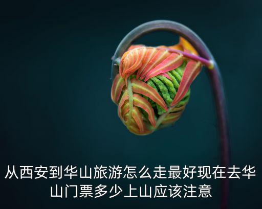 從西安到華山旅游怎么走最好現(xiàn)在去華山門票多少上山應(yīng)該注意