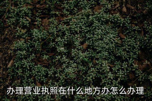 辦理營(yíng)業(yè)執(zhí)照在什么地方辦怎么辦理