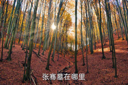 張騫墓在哪里，明朝皇家陵墓在哪里