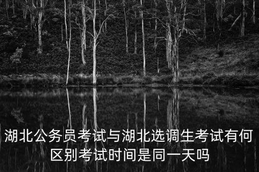 湖北選調(diào)生考試，湖北公務(wù)員考試與湖北選調(diào)生考試有何區(qū)別考試時間是同一天嗎