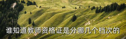 誰知道教師資格證是分哪幾個檔次的