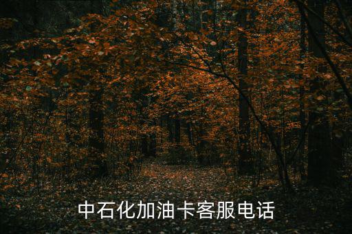95105888，拔打95105888進行充值要收話費嗎