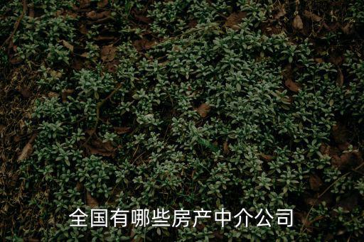 全國有哪些房產中介公司