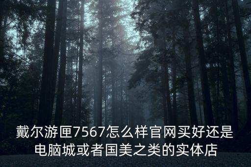 戴爾游匣7567怎么樣官網買好還是電腦城或者國美之類的實體店