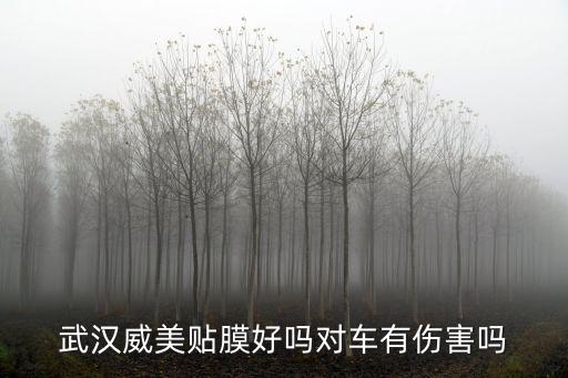 武漢威美貼膜好嗎對車有傷害嗎