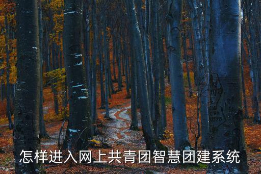 怎樣進入網上共青團智慧團建系統