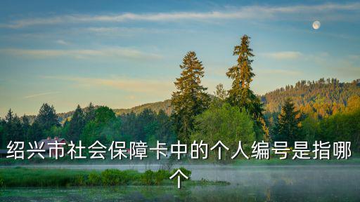 紹興市社會保障卡中的個人編號是指哪個