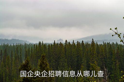 國企央企招聘信息從哪兒查