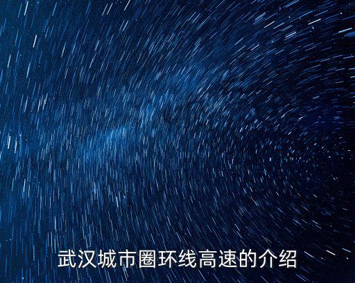 武漢六環線最新規劃圖，武漢的那些環線你被繞進去了么