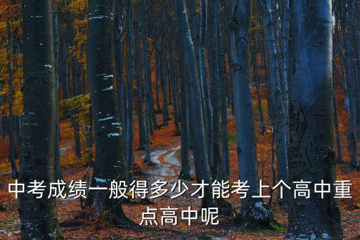 中考成績一般得多少才能考上個高中重點高中呢
