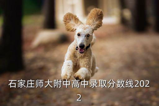 河北師大附中，河北師大附中高中升學率