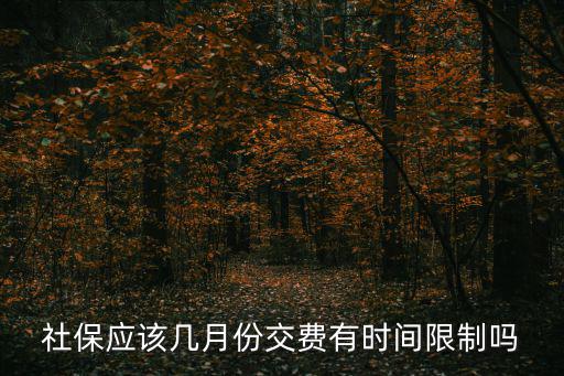 社保應(yīng)該幾月份交費(fèi)有時(shí)間限制嗎