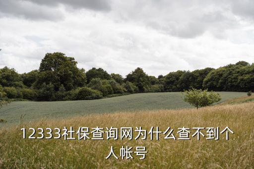 12333社保查詢網為什么查不到個人帳號