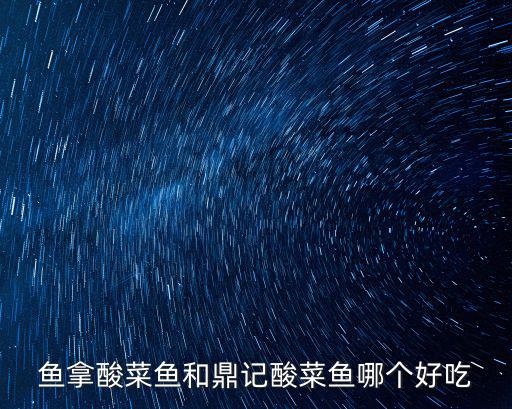 魚拿酸菜魚和鼎記酸菜魚哪個好吃