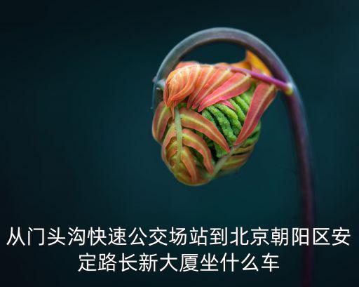 從門頭溝快速公交場站到北京朝陽區安定路長新大廈坐什么車