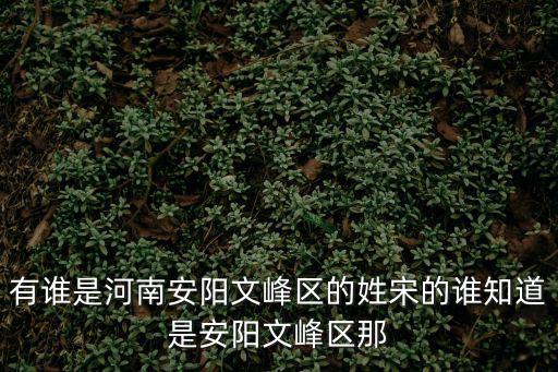 有誰是河南安陽文峰區(qū)的姓宋的誰知道是安陽文峰區(qū)那