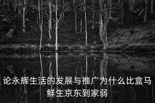 論永輝生活的發展與推廣為什么比盒馬鮮生京東到家弱