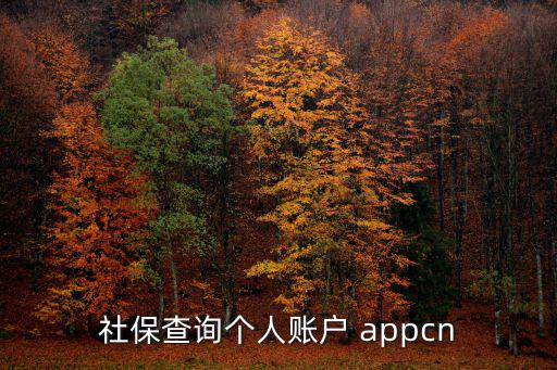 社保查詢個人賬戶 appcn