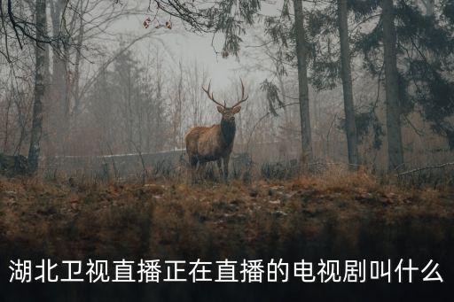 湖北影視直播在線觀看，湖北衛(wèi)視直播正在直播的電視劇叫什么
