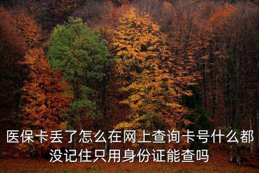 醫保卡丟了怎么在網上查詢卡號什么都沒記住只用身份證能查嗎