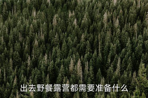 出去野餐露營都需要準備什么